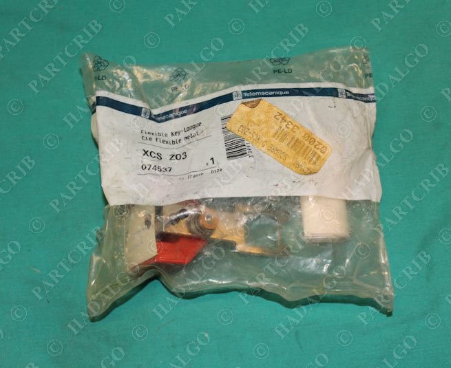 Telemecanique, XCS-Z03, Safety Interlock Switch SD19393